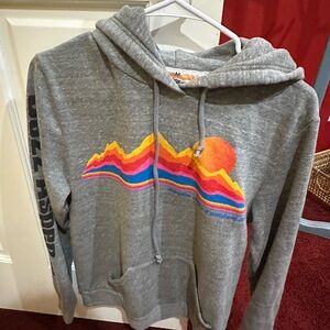 Aviator Nation Gray Hoodie. Aspen jazz festival 2021